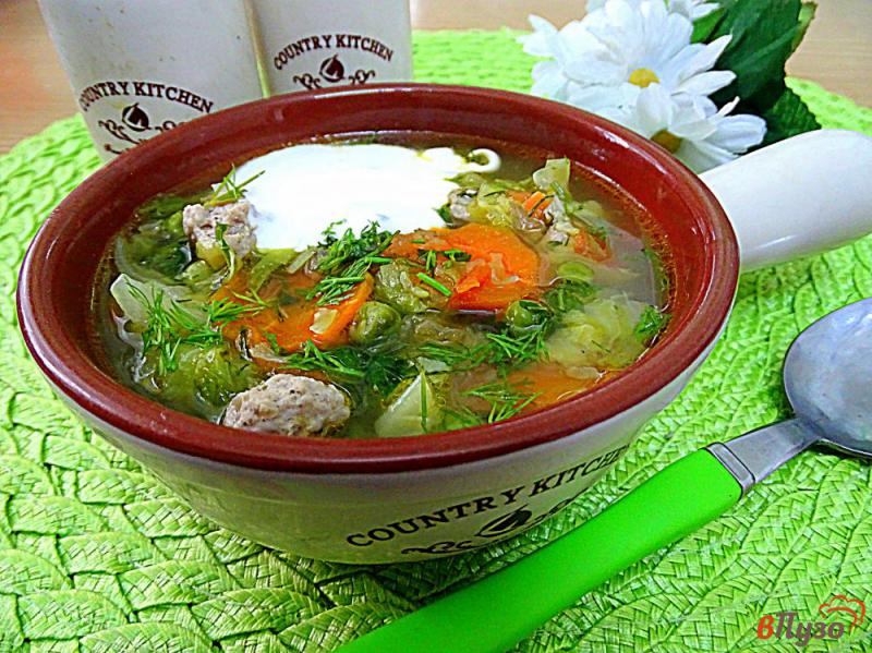 Фото приготовление рецепта: Весенний суп шаг №10