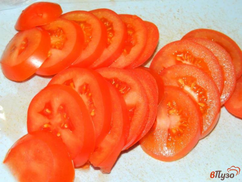 Фото приготовление рецепта: Пикантный салат из помидоров и лука шаг №1