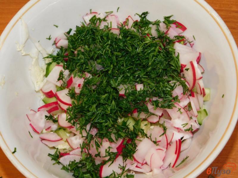 Фото приготовление рецепта: Салат из пекинской капусты с огурцом и редисом шаг №4