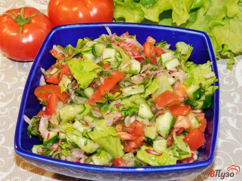 Фото приготовление рецепта: Салат из редиски с огурцами и помидорами шаг №6