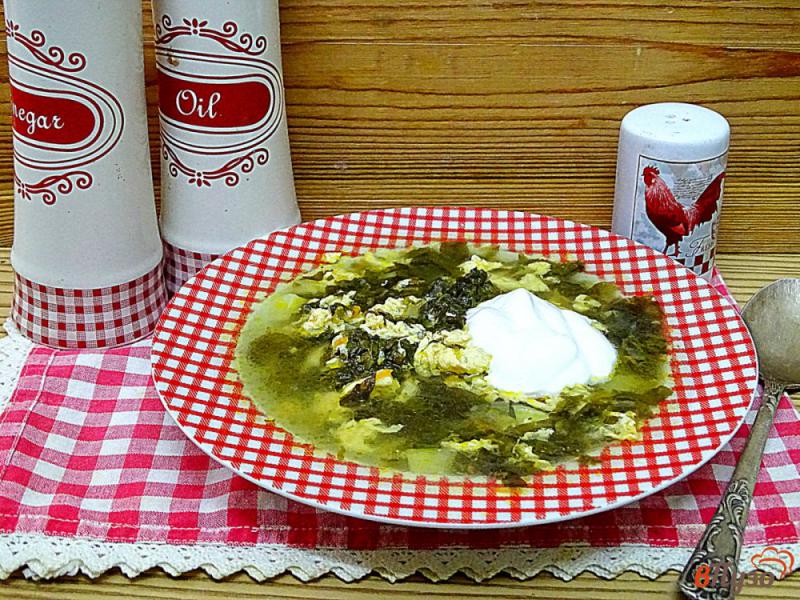 Фото приготовление рецепта: Щавелевый суп со взбитыми яйцами и шпинатом шаг №11