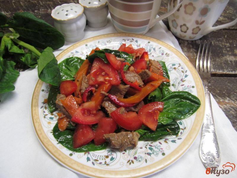 Фото приготовление рецепта: Мясной салат со шпинатом и болгарским перцем шаг №7