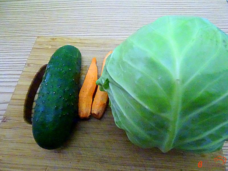 Фото приготовление рецепта: Салат из капусты, огурца и помидоров шаг №1