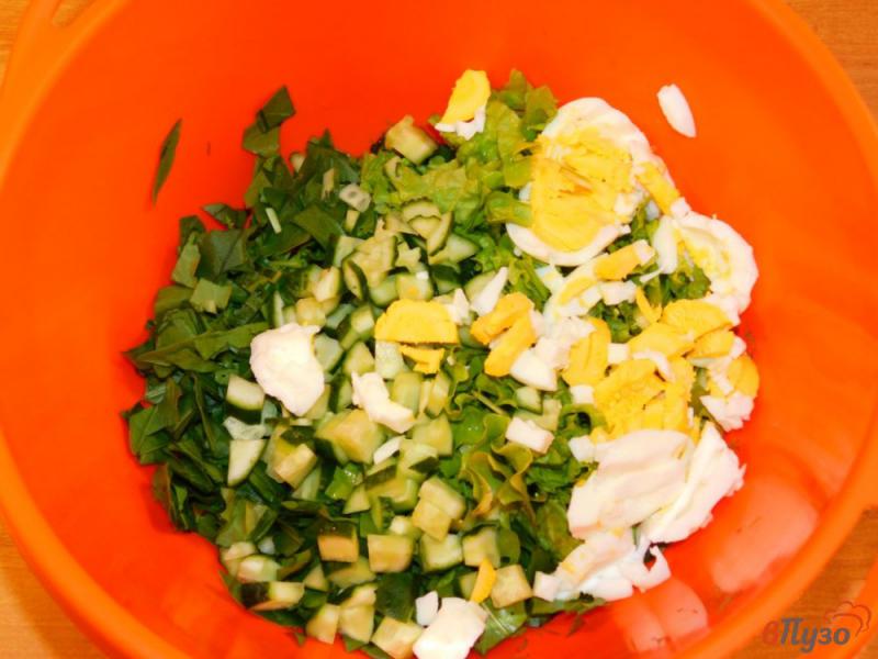 Фото приготовление рецепта: Зеленый салат со щавлем шаг №4