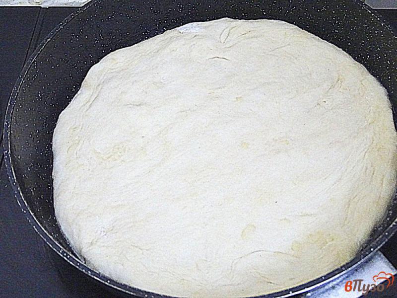 Фото приготовление рецепта: Открытый пицца-пирог на сковороде шаг №10