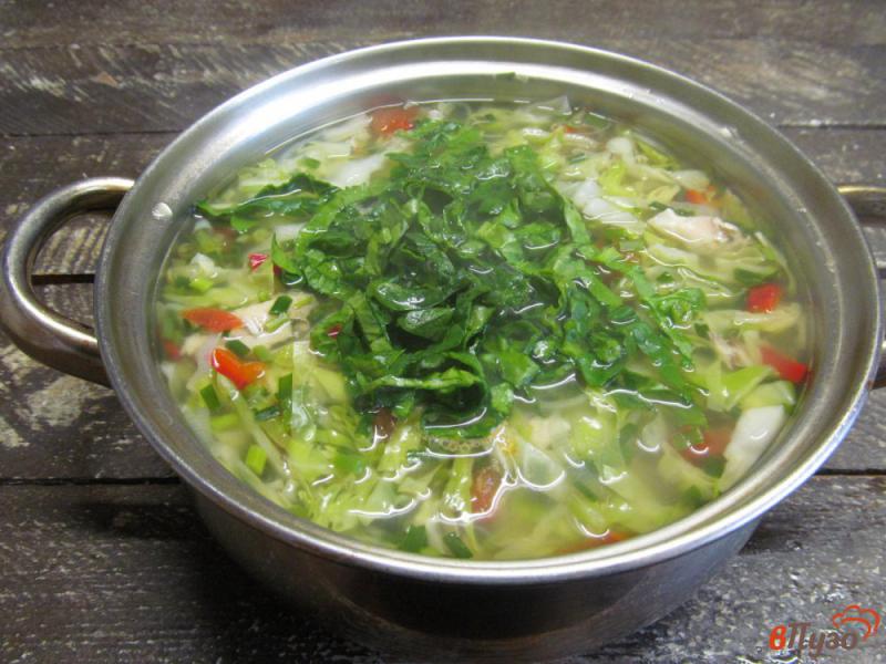 Фото приготовление рецепта: Капустный суп на курином бульоне шаг №6