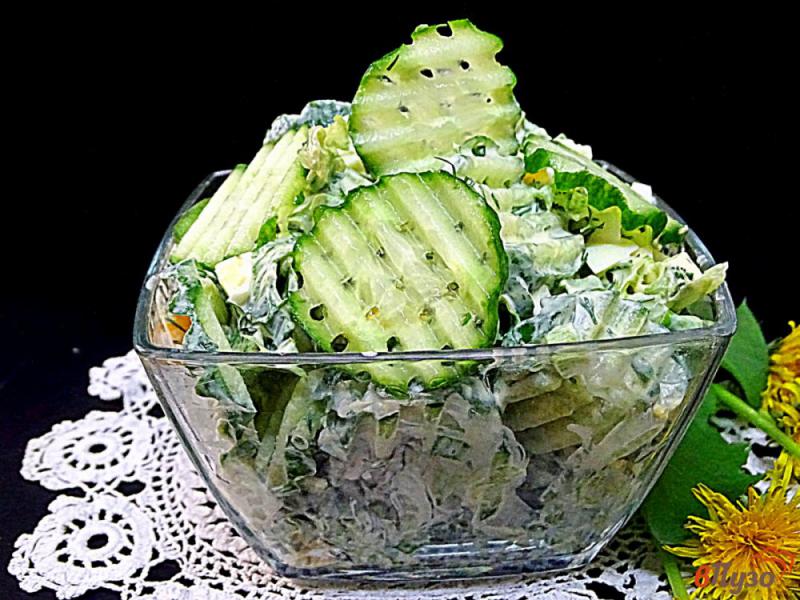 Фото приготовление рецепта: Салат из огурца, зелени и яйца шаг №7