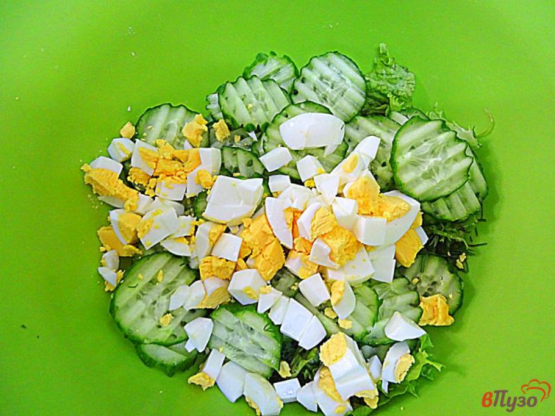 Фото приготовление рецепта: Салат из огурца, зелени и яйца шаг №6