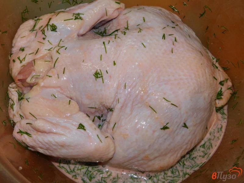 Фото приготовление рецепта: Курица с базиликом и апельсинами шаг №3