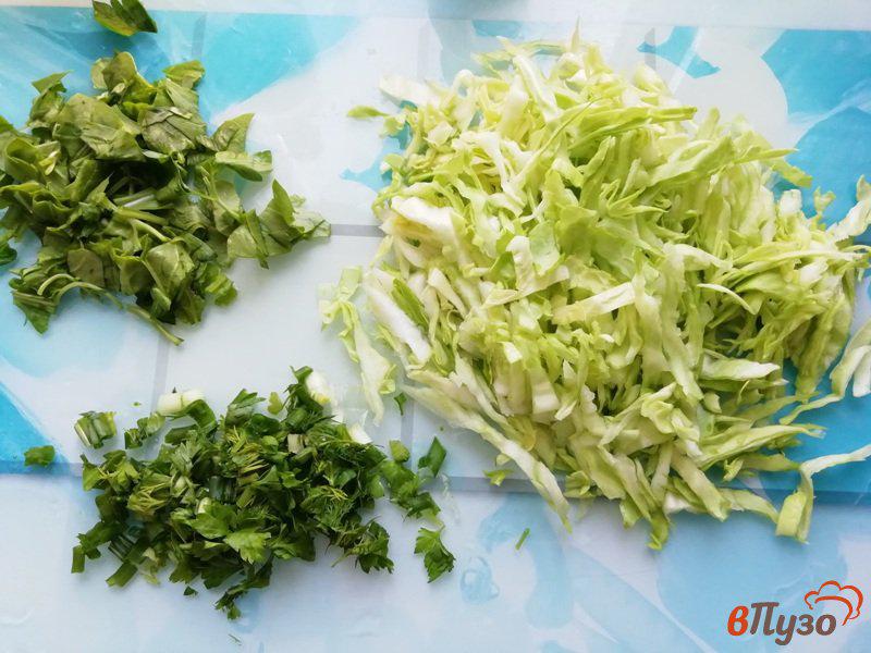 Фото приготовление рецепта: Салат из молодых овощей с зеленью и заправкой из гранатового соуса шаг №2