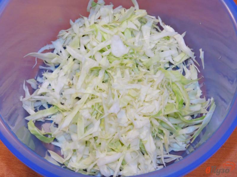 Фото приготовление рецепта: Зеленый овощной салат шаг №1