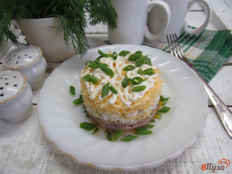Фото приготовление рецепта: Салат из консервированного лосося с яйцом и сыром шаг №9