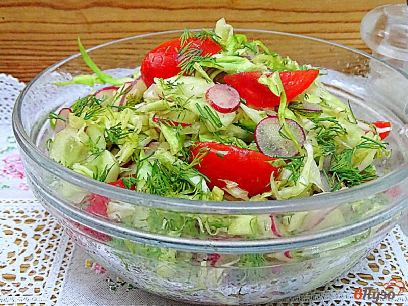 Фото приготовление рецепта: Салат из капусты, помидоров, огурцов и редиса шаг №8