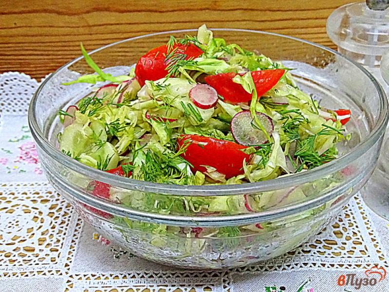 Фото приготовление рецепта: Салат из капусты, помидоров, огурцов и редиса шаг №9