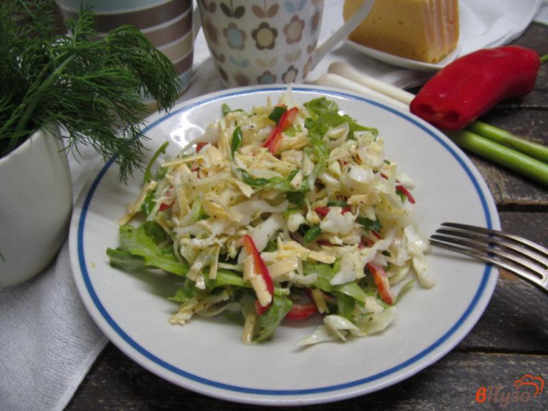 Фото приготовление рецепта: Салат из молодой капусты с рукколой и перцем шаг №4