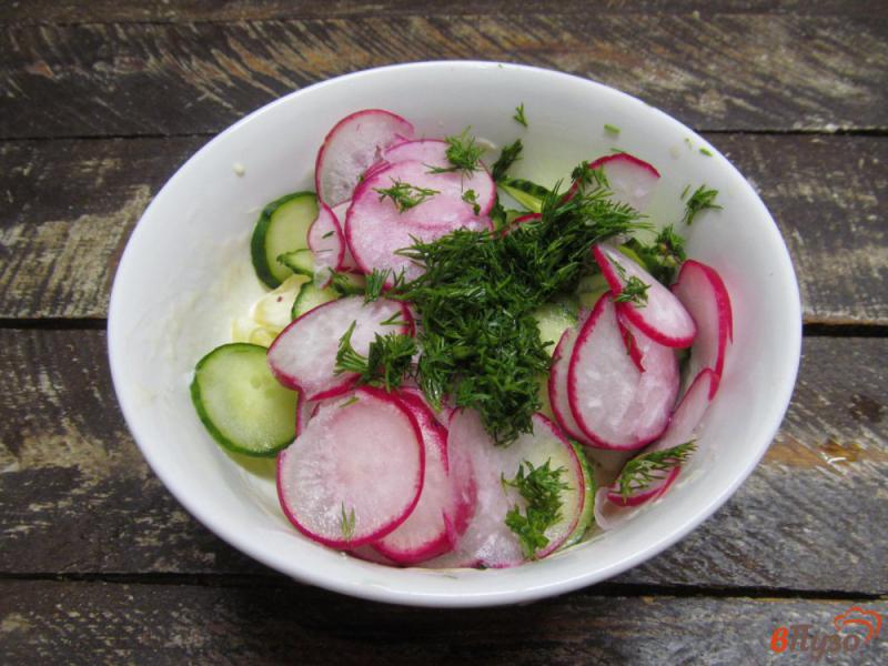 Фото приготовление рецепта: «Весенний» салат из картофеля с огурцом и редисом шаг №5