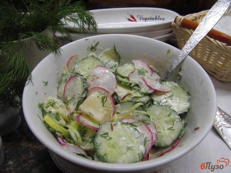 Фото приготовление рецепта: «Весенний» салат из картофеля с огурцом и редисом шаг №6