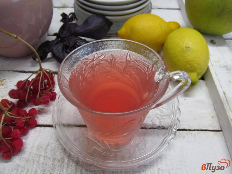 Фото приготовление рецепта: Яблочный напиток с базиликом и клюквой шаг №9