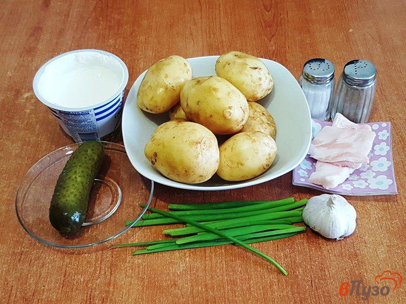 Фото приготовление рецепта: Картофель со сметанным соусом шаг №1