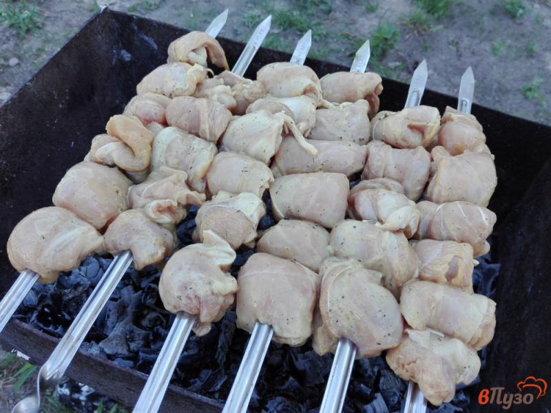Фото приготовление рецепта: Куриный шашлык в соевом маринаде шаг №7