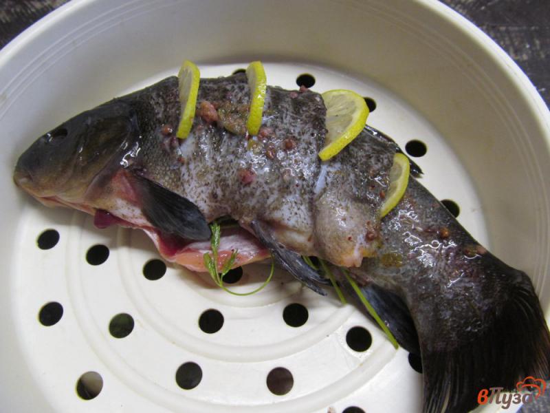 Фото приготовление рецепта: Рыба линь с лимоном на пару шаг №4