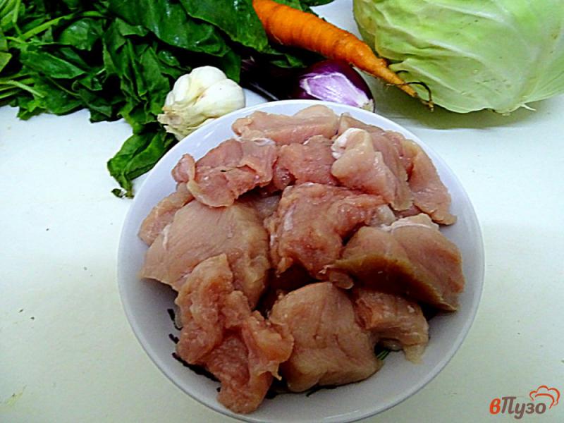 Фото приготовление рецепта: Свинина тушеная с капустой и овощами шаг №2