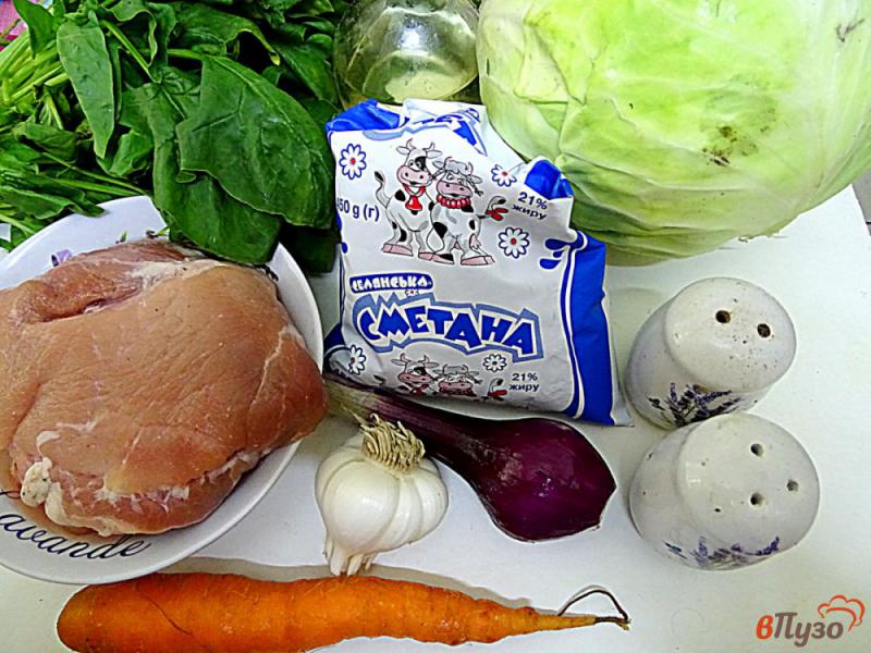Фото приготовление рецепта: Свинина тушеная с капустой и овощами шаг №1