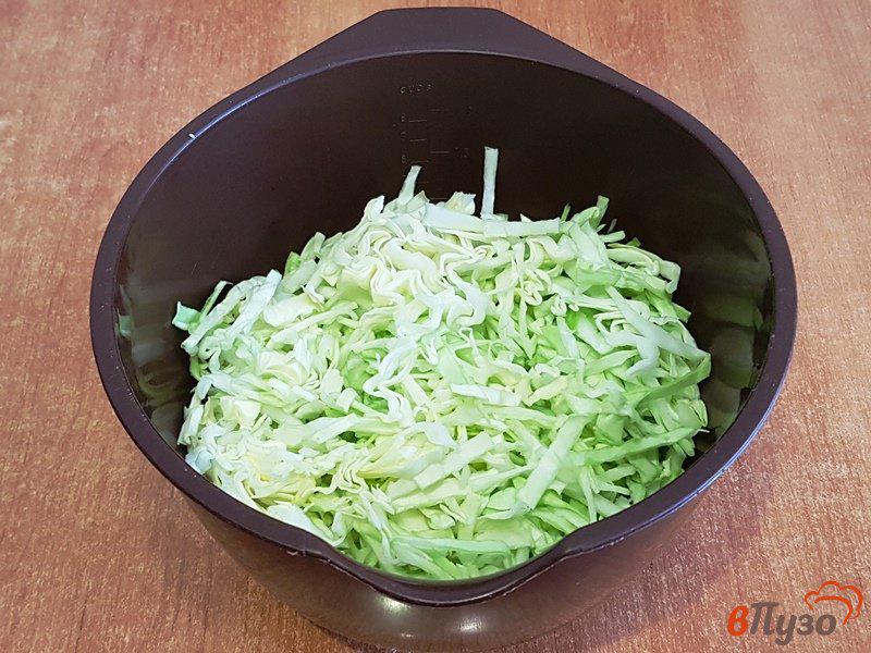 Фото приготовление рецепта: Щи из свежей капусты со свининой шаг №5