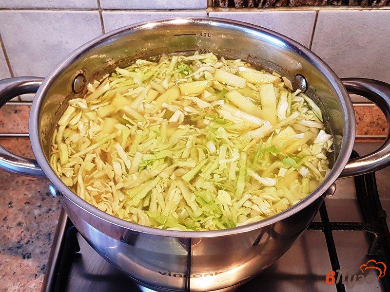 Фото приготовление рецепта: Щи из свежей капусты со свининой шаг №7