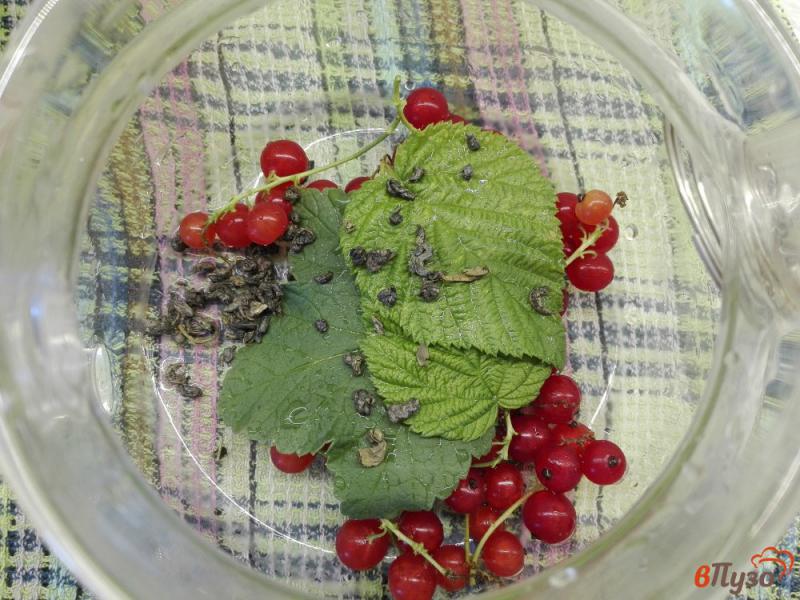 Фото приготовление рецепта: Зеленый чай с красной смородиной шаг №3