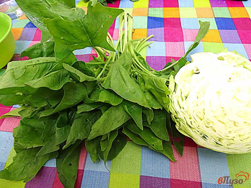 Фото приготовление рецепта: Суп овощной летний с фрикадельками шаг №5