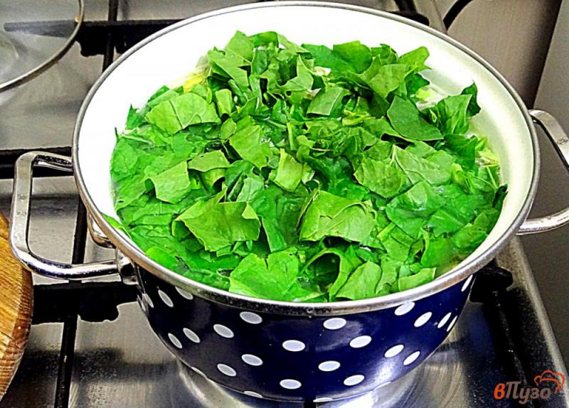 Фото приготовление рецепта: Суп овощной летний с фрикадельками шаг №11