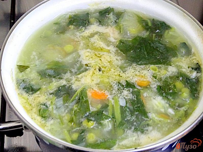 Фото приготовление рецепта: Суп овощной летний с фрикадельками шаг №12