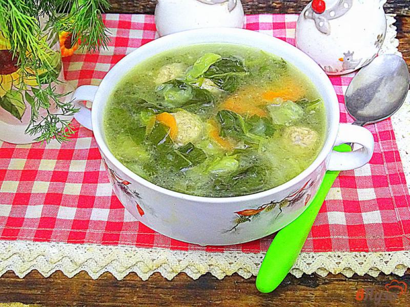 Фото приготовление рецепта: Суп овощной летний с фрикадельками шаг №13