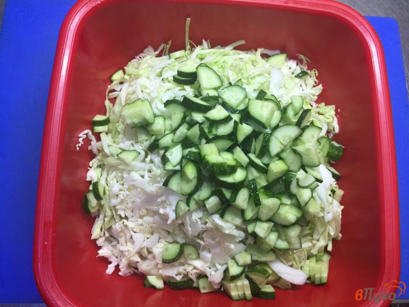 Фото приготовление рецепта: Салат из молодой и пекинской капусты с редисом и огурцом шаг №3