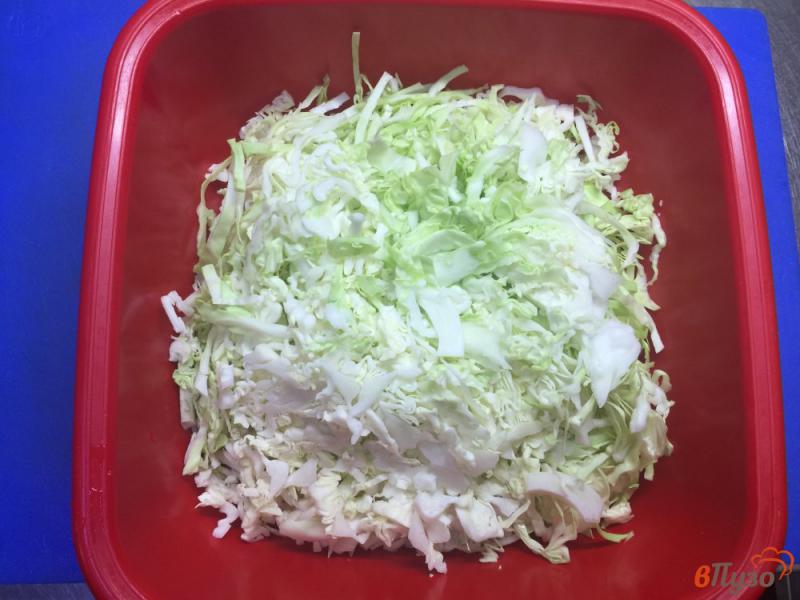 Фото приготовление рецепта: Салат из молодой и пекинской капусты с редисом и огурцом шаг №2