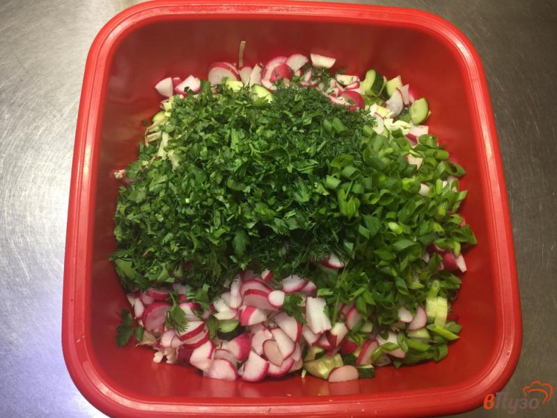 Фото приготовление рецепта: Салат из молодой и пекинской капусты с редисом и огурцом шаг №5