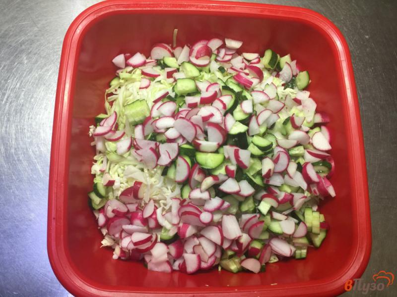 Фото приготовление рецепта: Салат из молодой и пекинской капусты с редисом и огурцом шаг №4