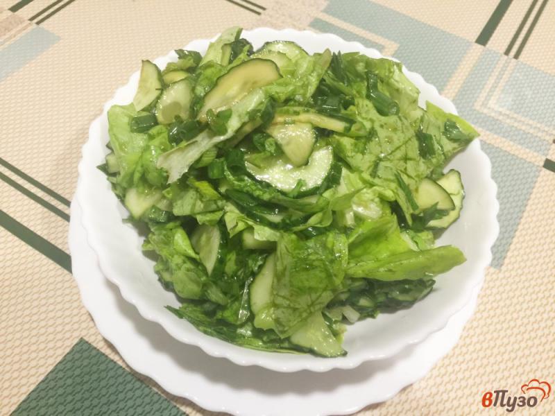 Фото приготовление рецепта: Огуречный салат с зеленым луком шаг №4