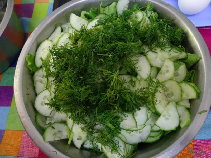 Фото приготовление рецепта: Зелёный салат с яйцом и огурцом шаг №4
