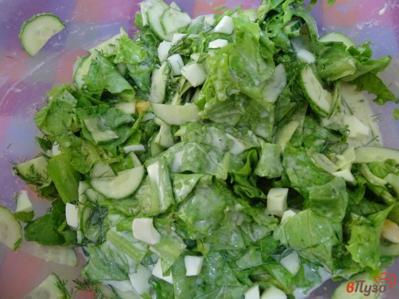 Фото приготовление рецепта: Зелёный салат с яйцом и огурцом шаг №7