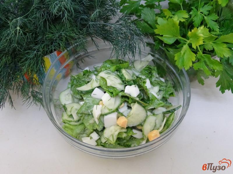 Фото приготовление рецепта: Зелёный салат с яйцом и огурцом шаг №9