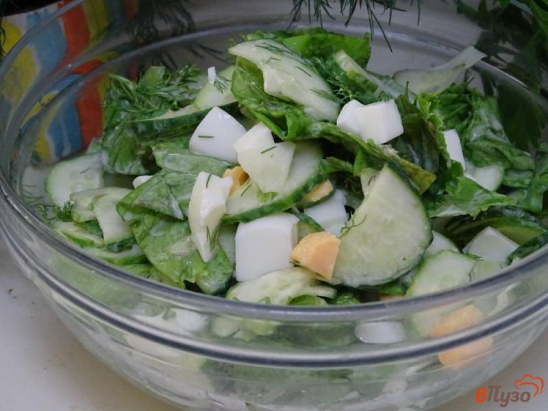 Фото приготовление рецепта: Зелёный салат с яйцом и огурцом шаг №8