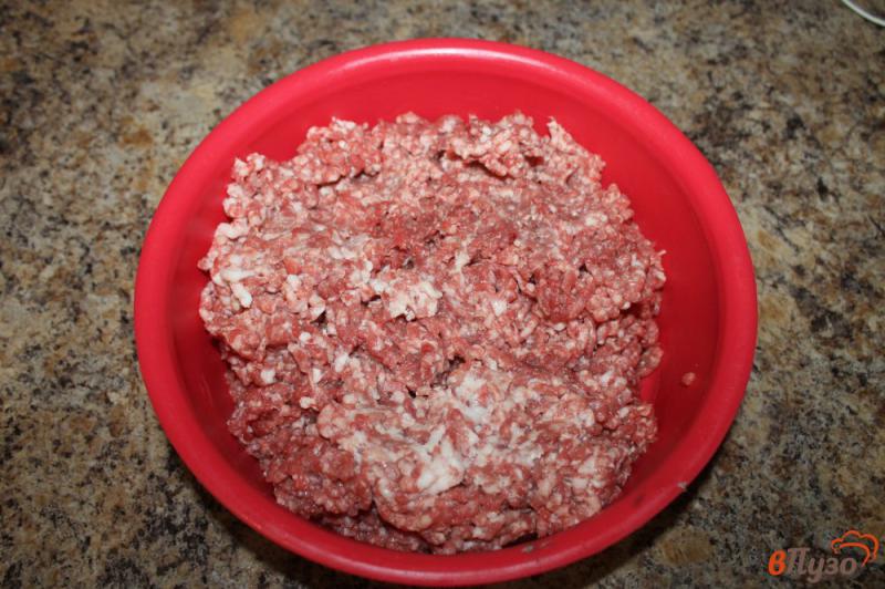 Фото приготовление рецепта: Люля кебаб из свинины с зеленью шаг №1