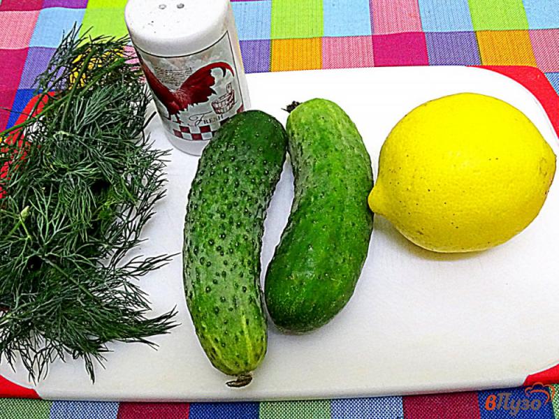 Фото приготовление рецепта: Зелёный коктейль из огурцов и укропа шаг №1