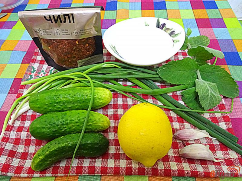 Фото приготовление рецепта: Диетический салат из огурцов и йогурта шаг №1