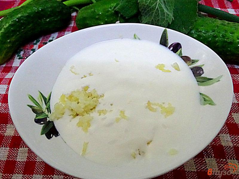 Фото приготовление рецепта: Диетический салат из огурцов и йогурта шаг №2