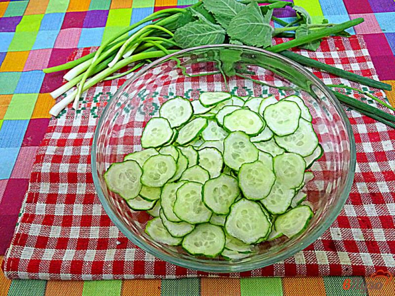 Фото приготовление рецепта: Диетический салат из огурцов и йогурта шаг №4