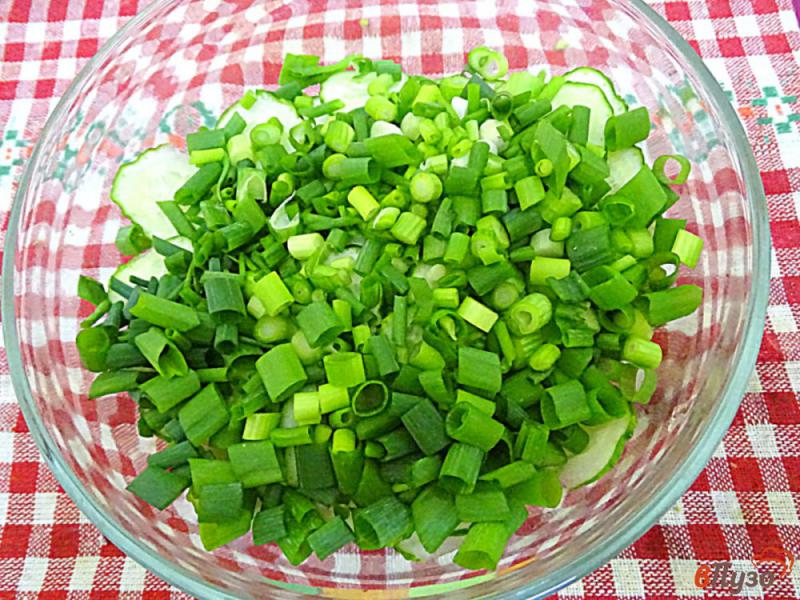 Фото приготовление рецепта: Диетический салат из огурцов и йогурта шаг №6