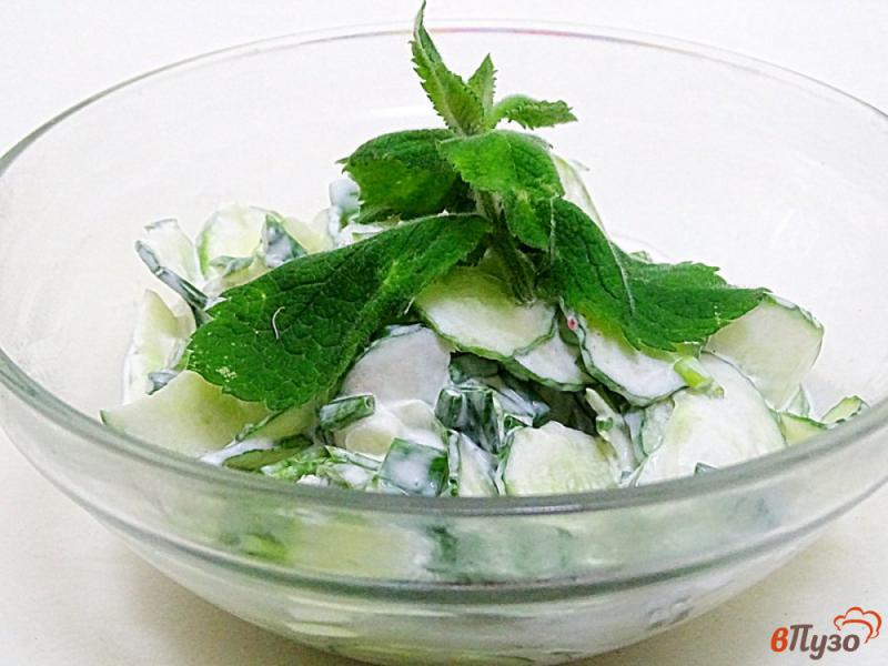 Фото приготовление рецепта: Диетический салат из огурцов и йогурта шаг №7